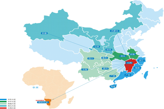 組織架構